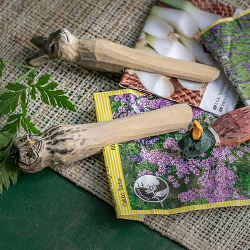 Norðuratlantshafsfjölskyldan – Klemma Ugla