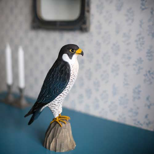 Norðuratlantshafsfjölskyldan – Förufálki - Peregrine