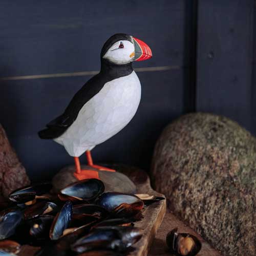 Norðuratlantshafsfjölskyldan – Atlantic Puffin