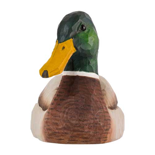 Norðuratlantshafsfjölskyldan – Stokkönd /Mallard duck