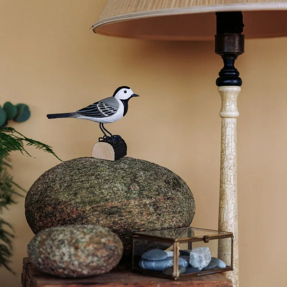 Norðuratlantshafsfjölskyldan – Pied Wagtail /Maríuerla