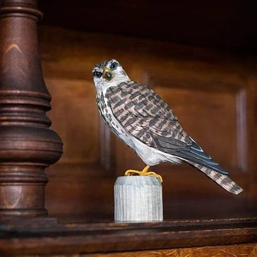 Norðuratlantshafsfjölskyldan – Merlin /Smyrill
