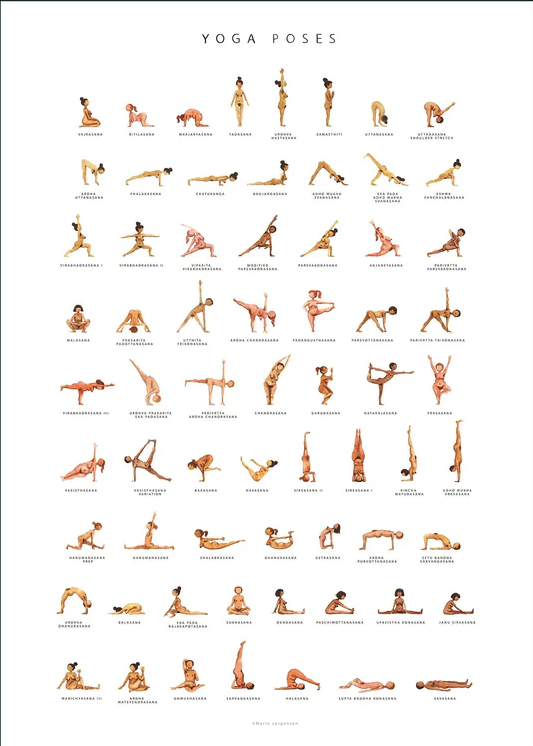 Yoga Poses 50x70 - Yoga Prints