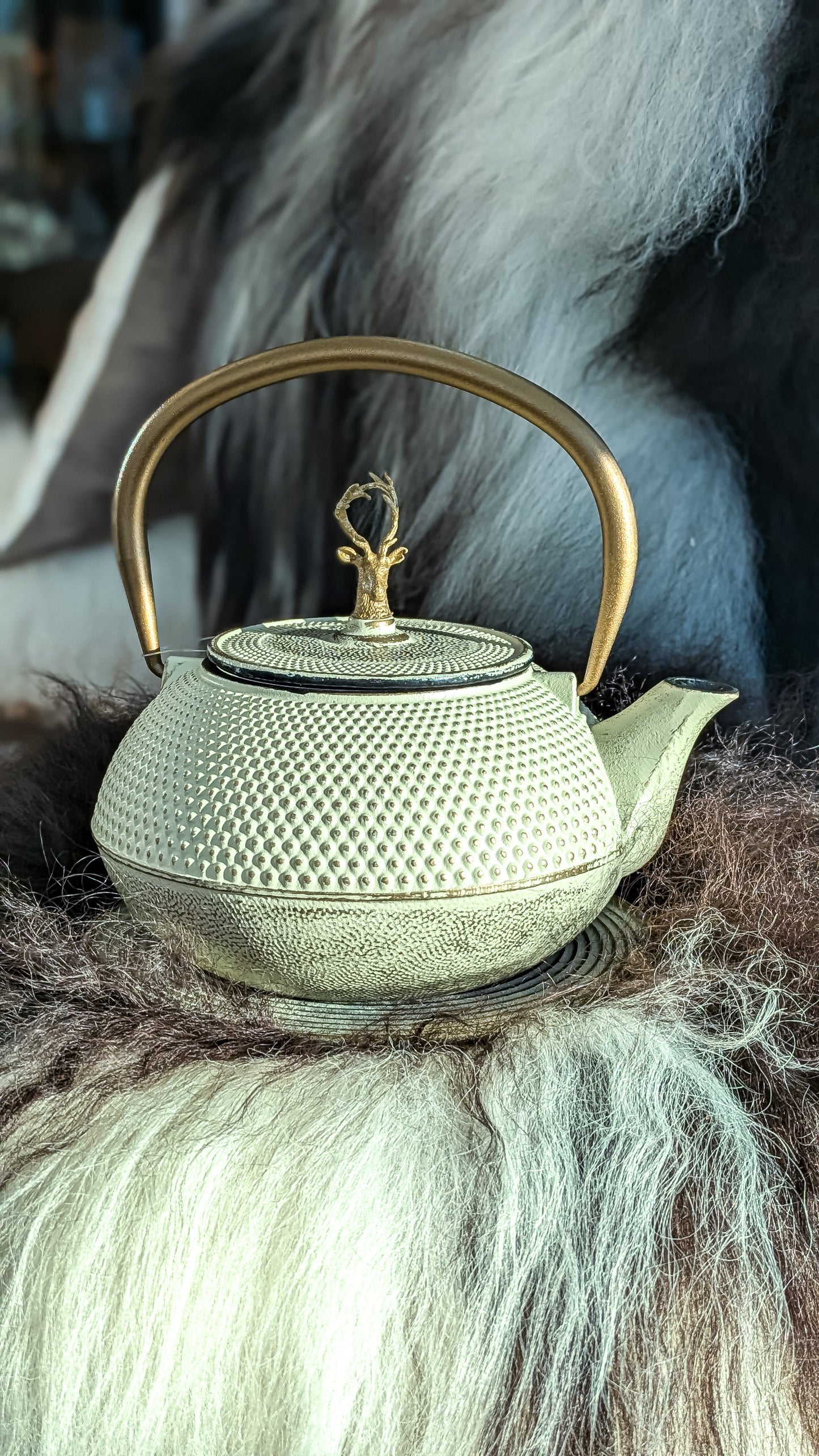 JA-Unendlich Te ketill/Arare 1.2L