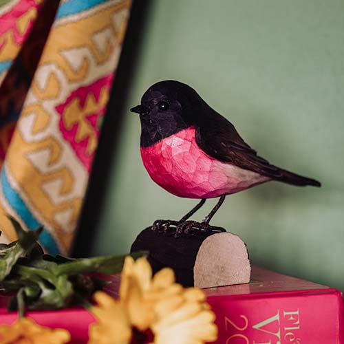 Norðuratlantshafsfjölskyldan – Pink Robin