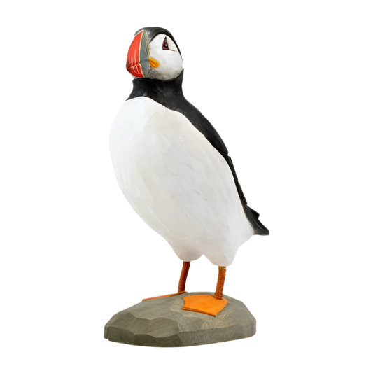 Norðuratlantshafsfjölskyldan – Atlantic Puffin