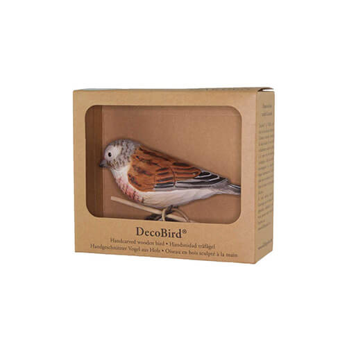 Norðuratlantshafsfjölskyldan – Common Linnet /Auðnutittlingur