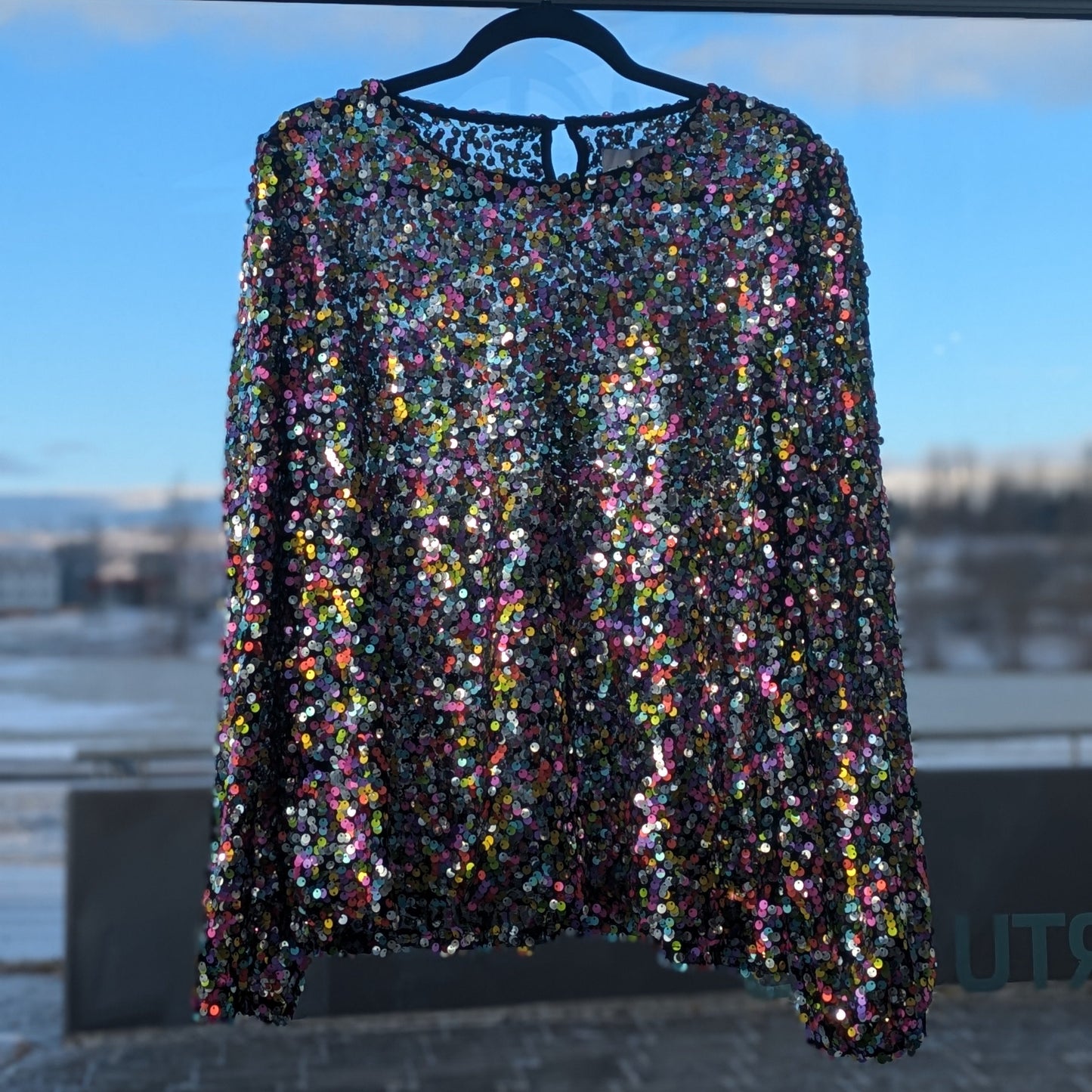 Þorragóss - palíettu blússa