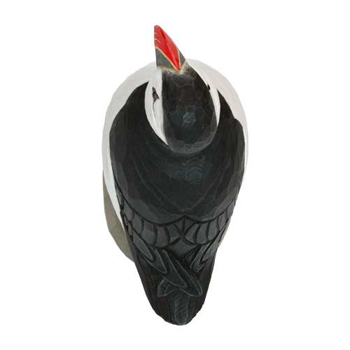 Norðuratlantshafsfjölskyldan – Atlantic Puffin