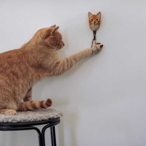 Norðuratlantshafsfjölskyldan - Tálgaðir trésnagar