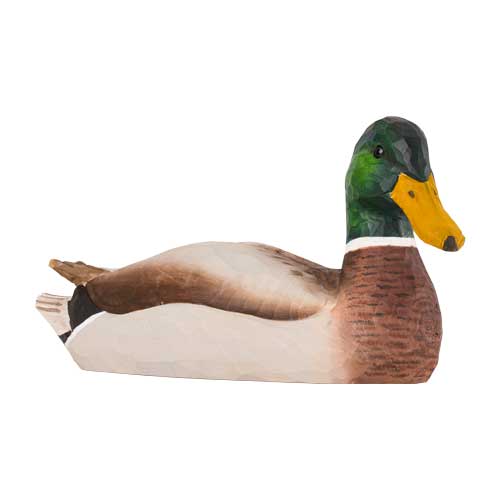 Norðuratlantshafsfjölskyldan – Stokkönd /Mallard duck