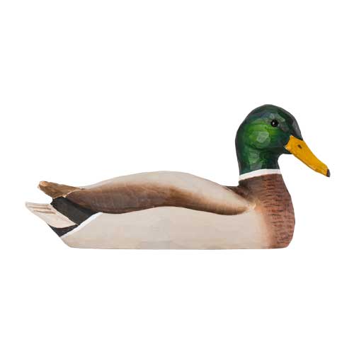 Norðuratlantshafsfjölskyldan – Stokkönd /Mallard duck