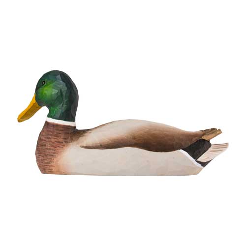 Norðuratlantshafsfjölskyldan – Stokkönd /Mallard duck