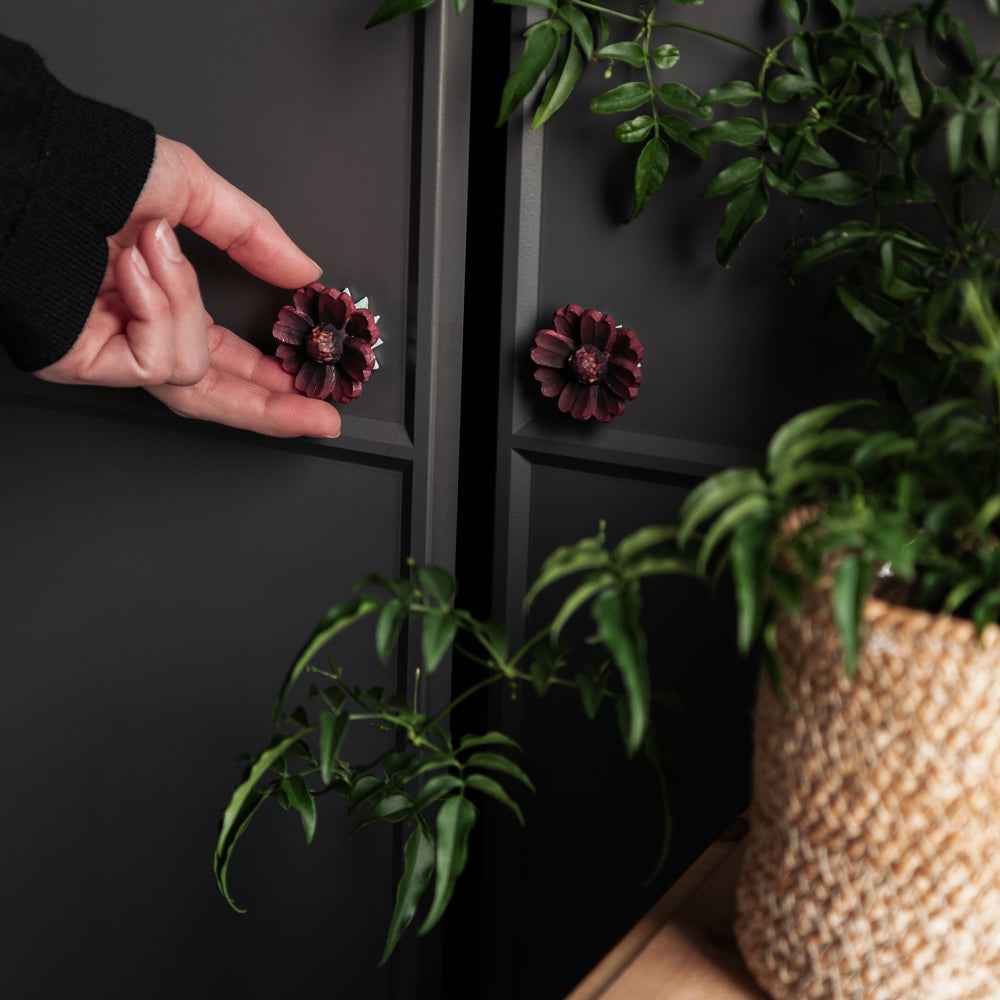 Cabinet Knob - Chocolate Cosmos(súkkulaði brúðarstjarna)