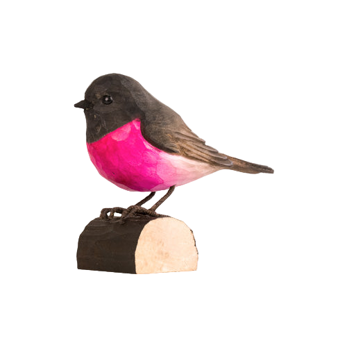 Norðuratlantshafsfjölskyldan – Pink Robin