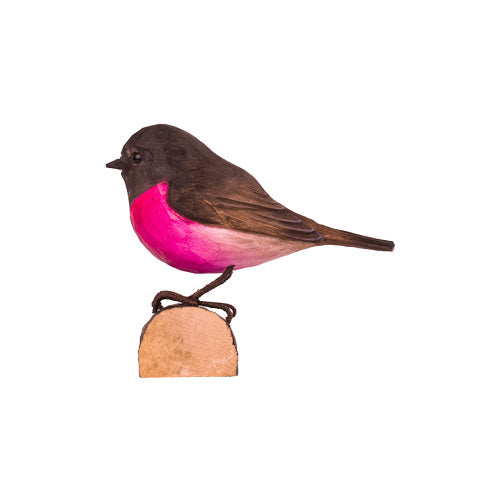 Norðuratlantshafsfjölskyldan – Pink Robin